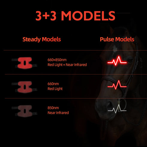red light therapy horse
 hock helper